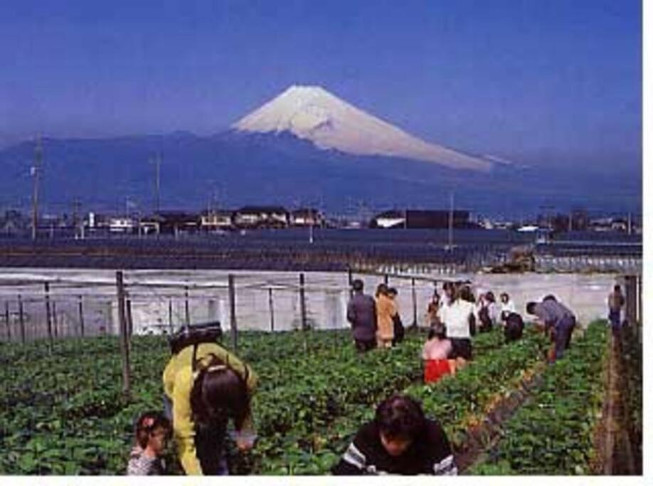 ゲストハウス+カフェわ　１日１組限定！ 築１００年の農家の古民家で宿泊体験、薪でお風呂沸かせます。焚き火もできます。 Kannami Buitenkant foto